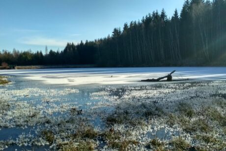 archiv___2019___img_20190119_121217_hdr-1