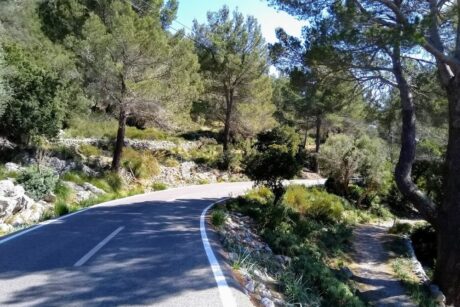 archiv___2020___mallorca2020