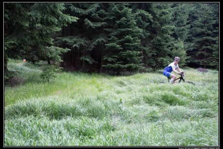 archiv___2020___cp-8-9-cachnov___les-trava