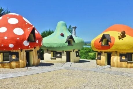 archiv___2021___cp-jesenice___houbicky