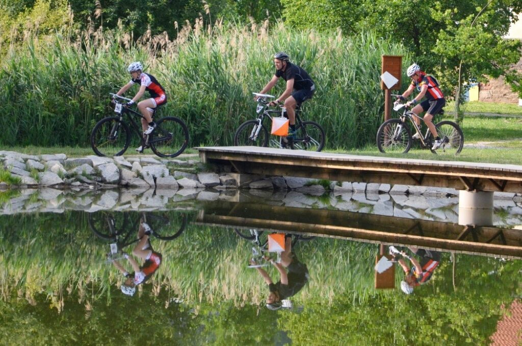 archiv___2017___mtbo-5-days-2017___sprint-koupaliste-plasy-2.jpg