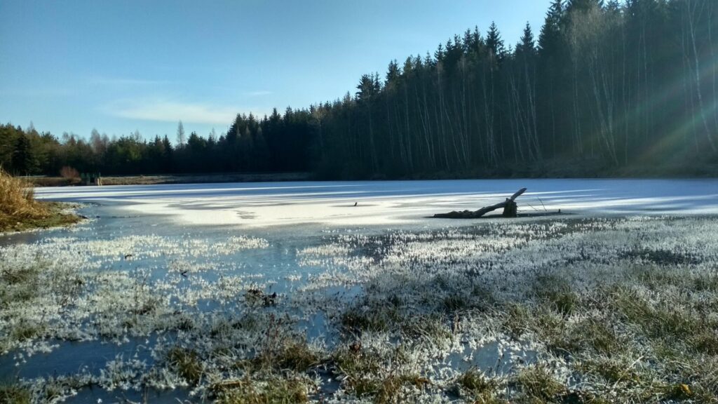 archiv___2019___img_20190119_121217_hdr.jpg