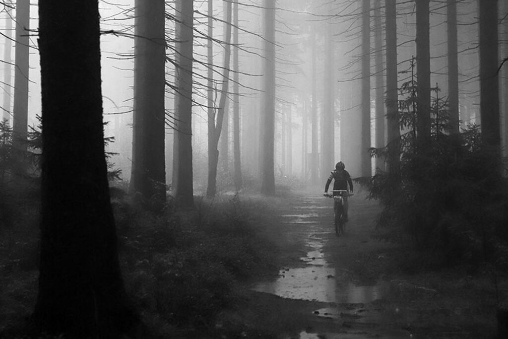 archiv___2020___foggy-biker.jpg