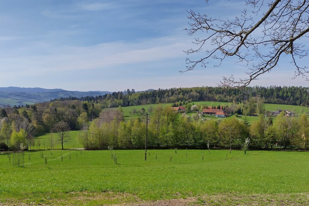 archiv___2023___cp-4-5-zasova___panorama.jpg