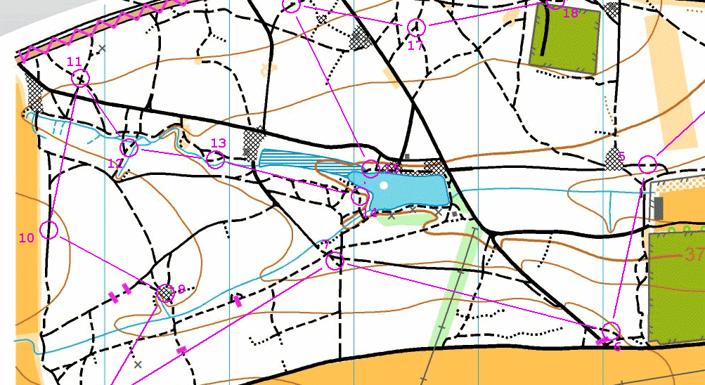 archiv___2013___sprint_kladno.gif