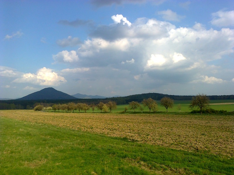 archiv___2014___000m_ruzak1.jpg