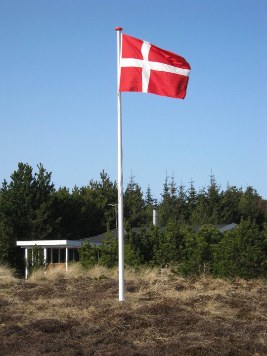 archiv___2014___dansko.jpg