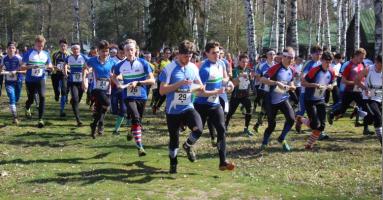 headline_20190323111853.JPG