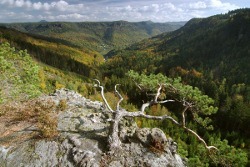 http_www.mtbo_.cz___archiv___2014___strateg14_1m.jpg