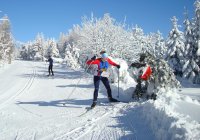 www.orientacnisporty.cz___upload___sekce_lob___ilustracni-foto___2011-01-30-cinovec.jpg