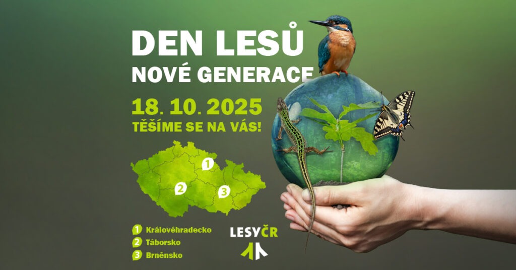 denlesu2025