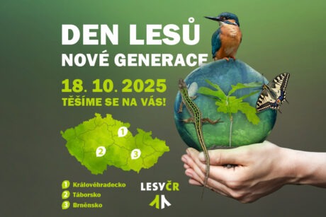 denlesu2025