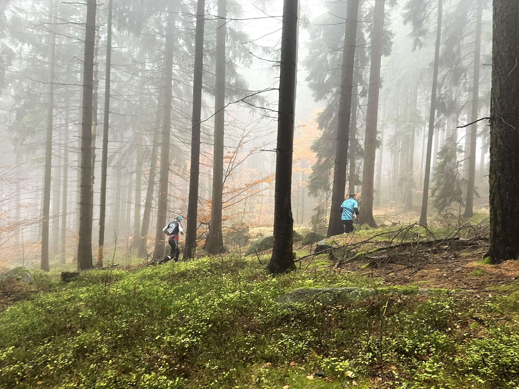 574570357_10239165968677198_1339618029314064864_n