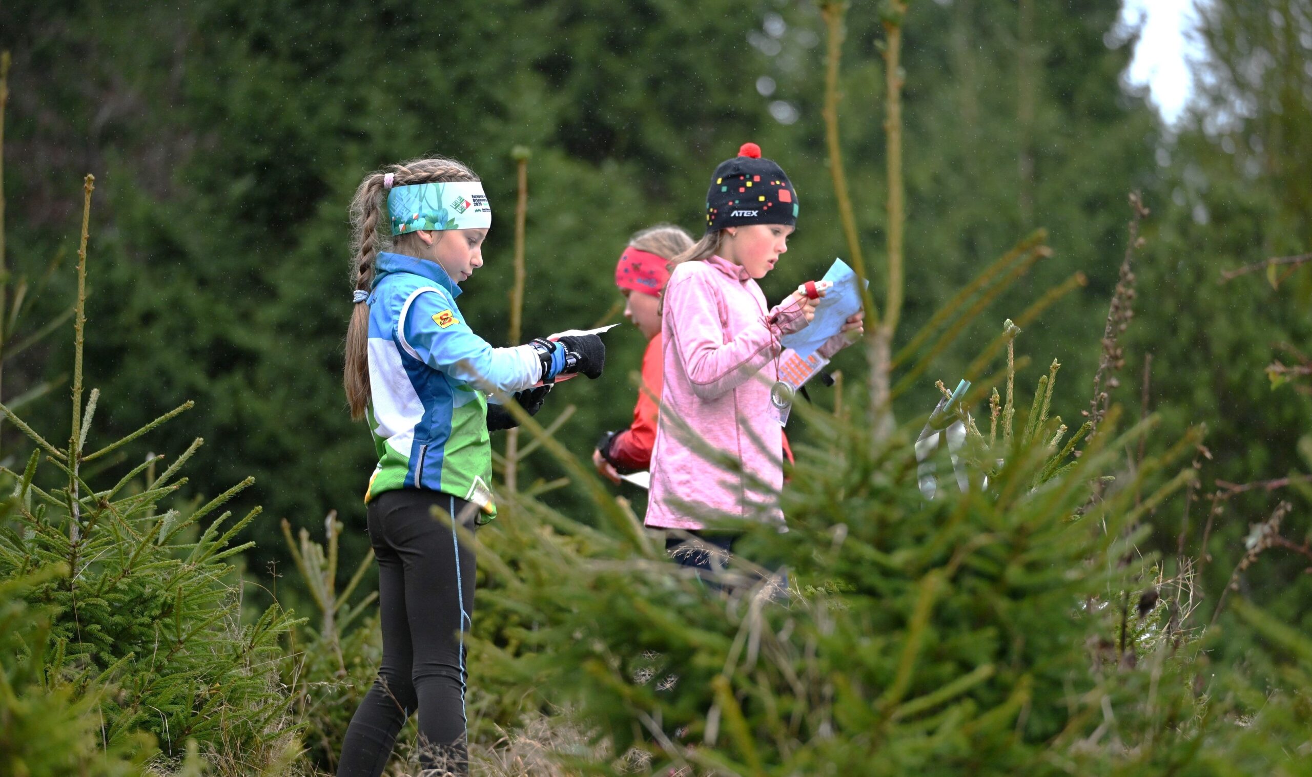 202510251301-Z63_1394-scaled-1