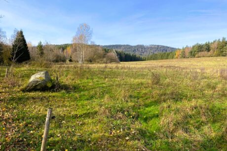 WhatsApp Image 2026-01-12 at 18.51.11b