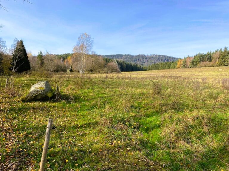 WhatsApp Image 2026-01-12 at 18.51.11b