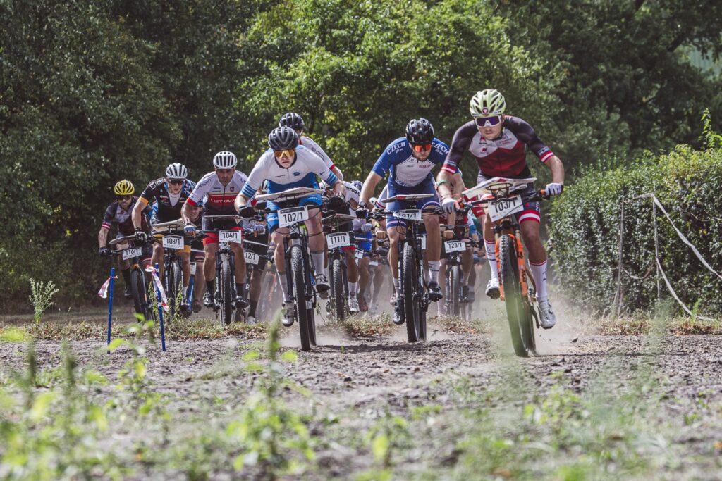 WMTBOC-8-z-10-scaled-1