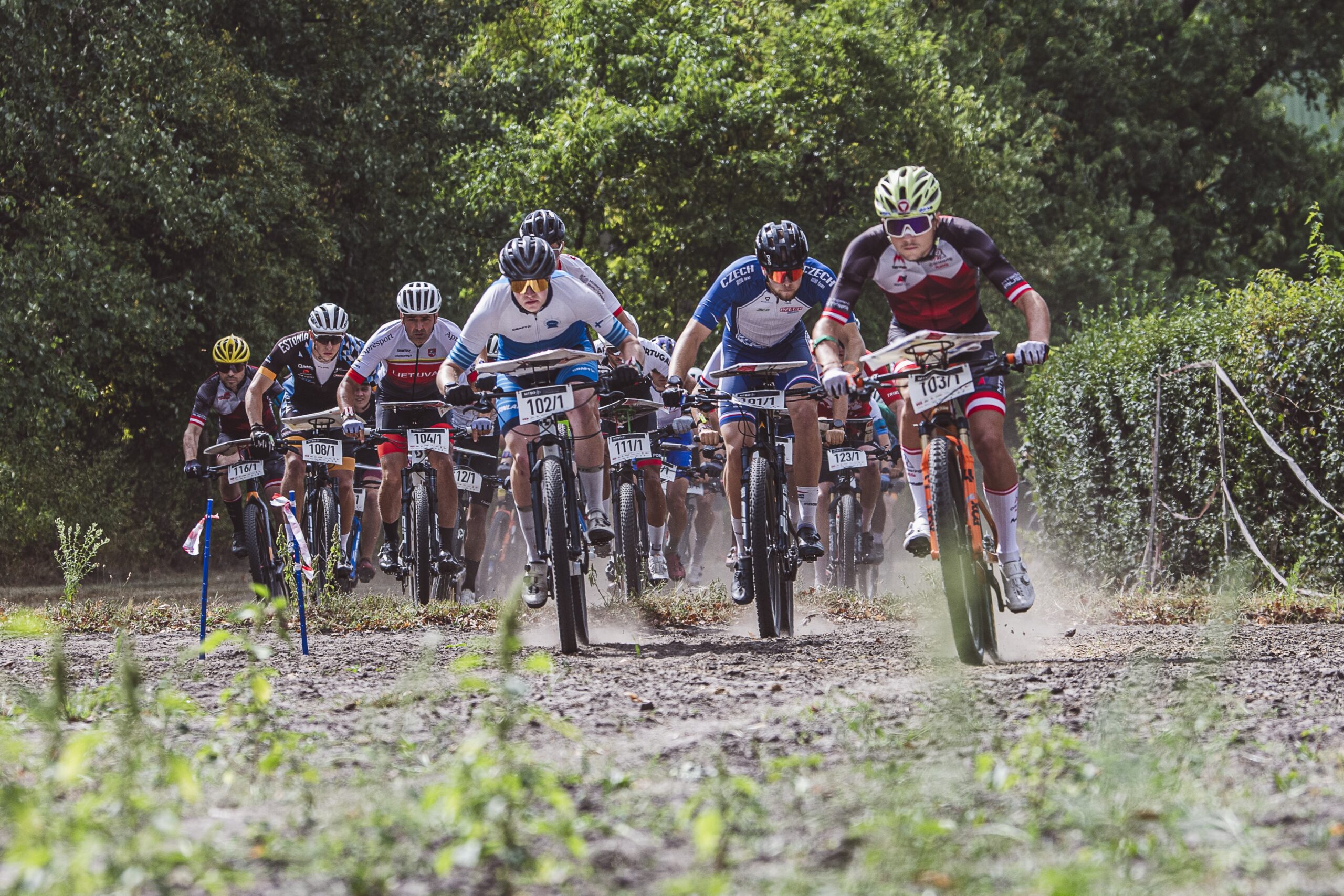 WMTBOC-8-z-10-scaled-1